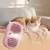 Zoomtopia Brosse vapeur pour chat et chien