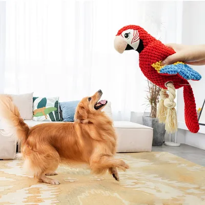 Zoomtopia Jouet en peluche grinçant pour chien