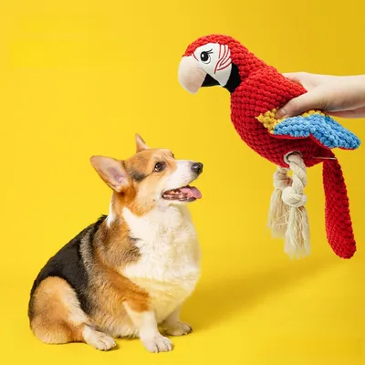 Zoomtopia Jouet en peluche grinçant pour chien