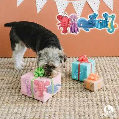 Zoomtopia Jouet en peluche en forme de pieuvre pour chien