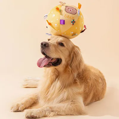 Zoomtopia Jouet couineur pour chien