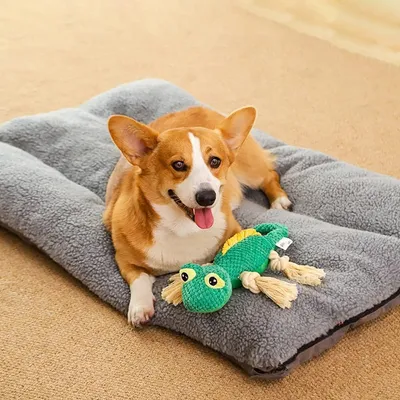 Zoomtopia Jouet en peluche lézard pour chien