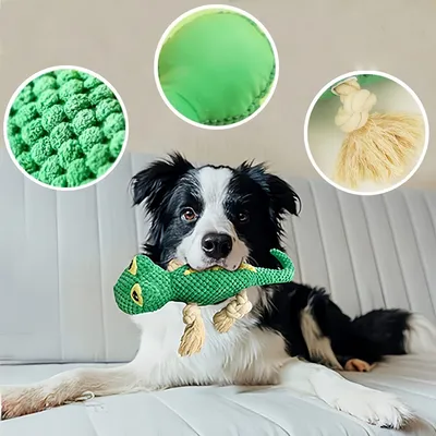 Zoomtopia Jouet en peluche lézard pour chien