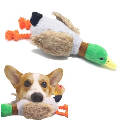 Zoomtopia Jouet de chien en peluche grincement