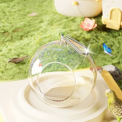 Zoomtopia Nid d'oiseau transparent