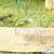 Zoomtopia Nid d'oiseau transparent