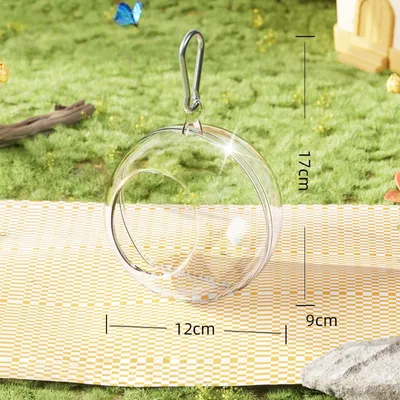 Zoomtopia Nid d'oiseau transparent