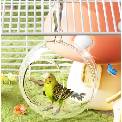 Zoomtopia Nid d'oiseau transparent