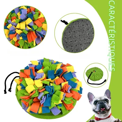 Zoomtopia Tapis de recherche pour chien