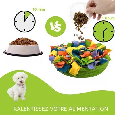 Zoomtopia Tapis de recherche pour chien