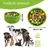 Zoomtopia Tapis de recherche pour chien