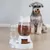 Zoomtopia Distributeur automatique d'aliments et d'eau pour animaux