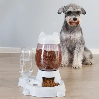 Zoomtopia Distributeur automatique d'aliments et d'eau pour animaux