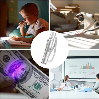 Zoomtopia Jouet Interactif pour Chats et Chiens pointeur laser