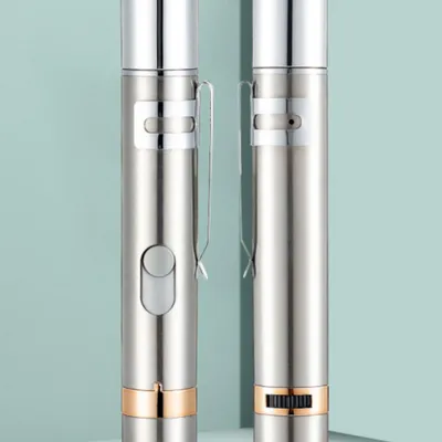 Zoomtopia Jouet Interactif pour Chats et Chiens pointeur laser