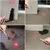 Zoomtopia Jouet Interactif pour Chats et Chiens pointeur laser