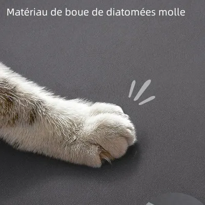 Zoomtopia Tapis absorbant pour chien et chat
