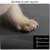 Zoomtopia Tapis absorbant pour chien et chat