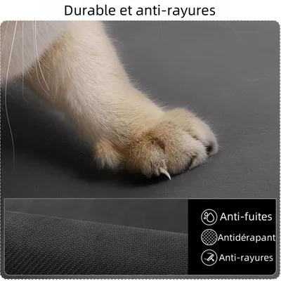 Zoomtopia Tapis absorbant pour chien et chat