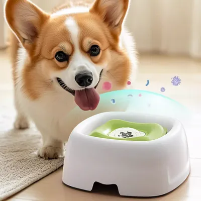Zoomtopia Bol d'eau pour chien à boire lentement