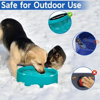 Zoomtopia Gamelle chauffante pour chien et chat