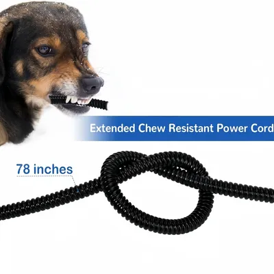 Zoomtopia Gamelle chauffante pour chien et chat