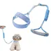 Zoomtopia Laisse et gilet de harnais pour chien
