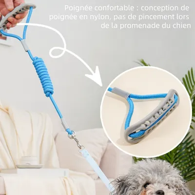 Zoomtopia Laisse et gilet de harnais pour chien
