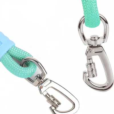 Zoomtopia Laisse Antidéflagrant en Nylon pour Chien et Chat