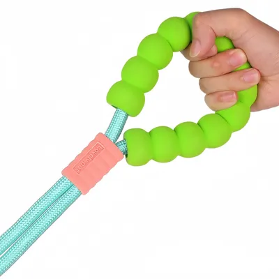 Zoomtopia Laisse Antidéflagrant en Nylon pour Chien et Chat