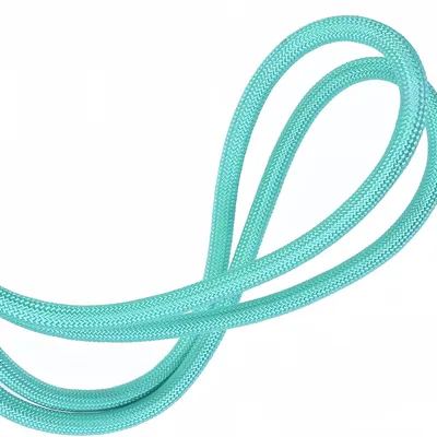 Zoomtopia Laisse Antidéflagrant en Nylon pour Chien et Chat