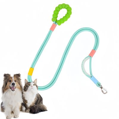 Zoomtopia Laisse Antidéflagrant en Nylon pour Chien et Chat