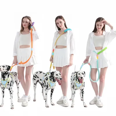 Zoomtopia Laisse Antidéflagrant en Nylon pour Chien et Chat