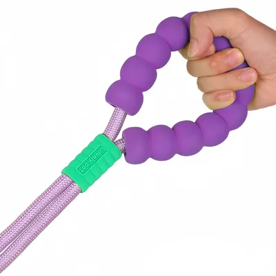 Zoomtopia Laisse Antidéflagrant en Nylon pour Chien et Chat