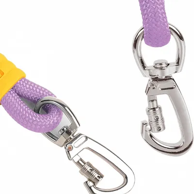 Zoomtopia Laisse Antidéflagrant en Nylon pour Chien et Chat