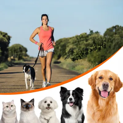 Zoomtopia  Laisse élastique Antidéflagrant pour Chien