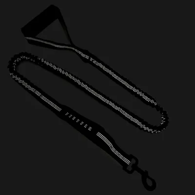 Zoomtopia  Laisse élastique Antidéflagrant pour Chien