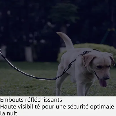 Zoomtopia Laisse pour chien multi fonctionnelle