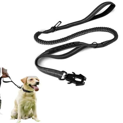 Zoomtopia Laisse pour chien multi fonctionnelle