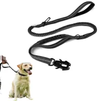 Zoomtopia Laisse pour chien multi fonctionnelle