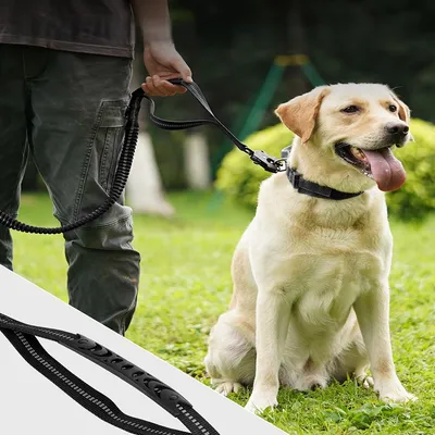 Zoomtopia Laisse pour chien multi fonctionnelle