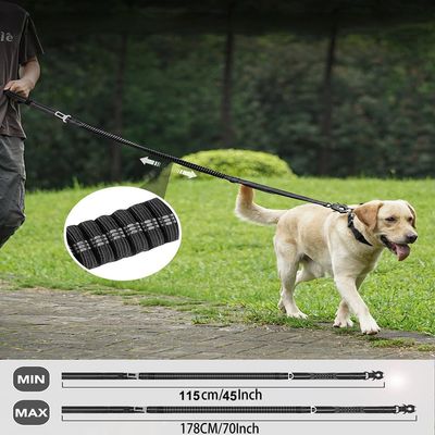 Zoomtopia Laisse pour chien multi fonctionnelle