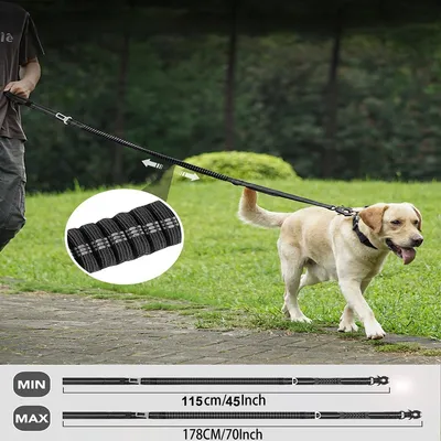 Zoomtopia Laisse pour chien multi fonctionnelle
