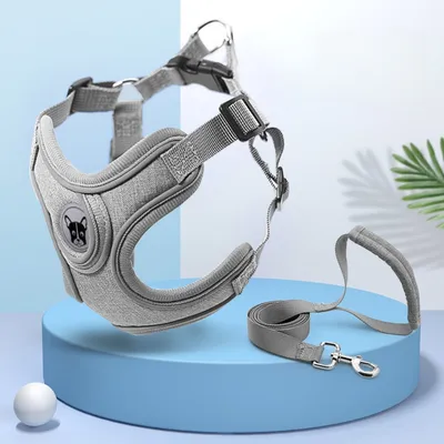 Zoomtopia Ensemble harnais et laisse pour chien