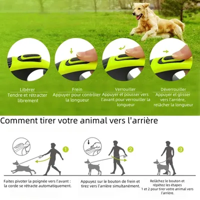 Zoomtopia Laisse pour chien en nylon solide et élastique