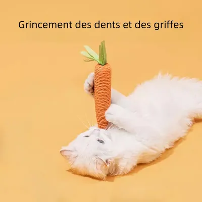 Zoomtopia Jouet carotte pour chat en corde de papier