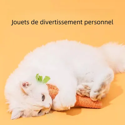 Zoomtopia Jouet carotte pour chat en corde de papier