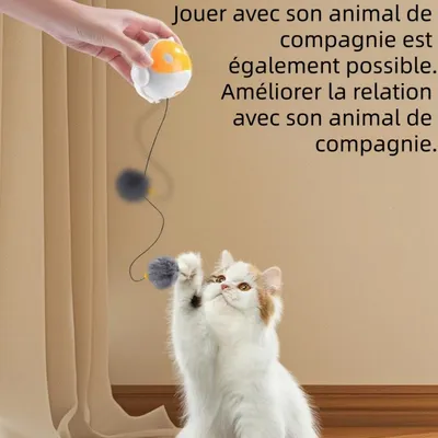 Zoomtopia Jouet interactif pour chat avec balle automatique