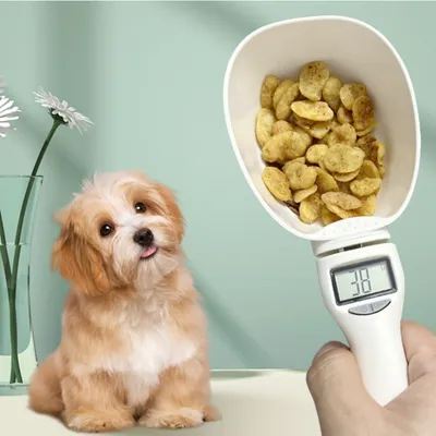 Zoomtopia Balance cuillère numérique pour chien