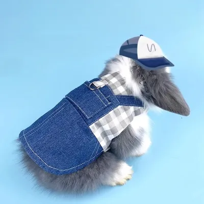 Zoomtopia Harnais pour lapin et chat